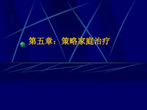 家庭治疗(策略)005