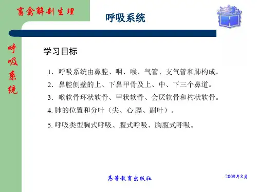 畜禽解剖生理06