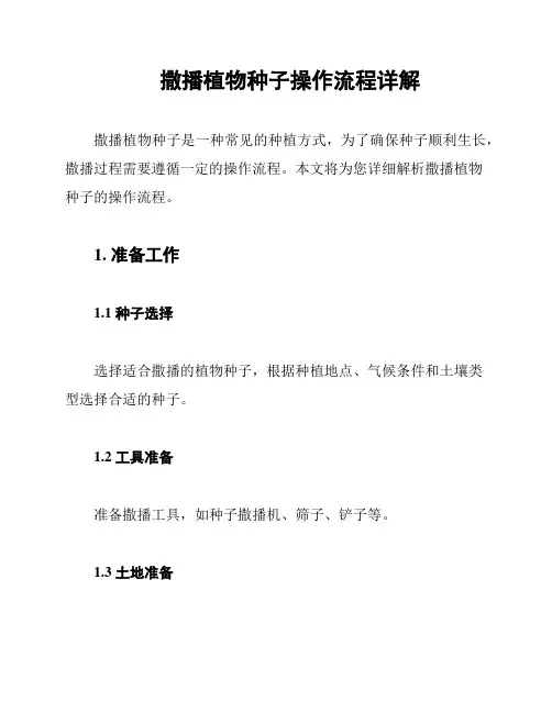 撒播植物种子操作流程详解