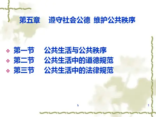 大学生思想道德修养与法律基础课件5PPT课件