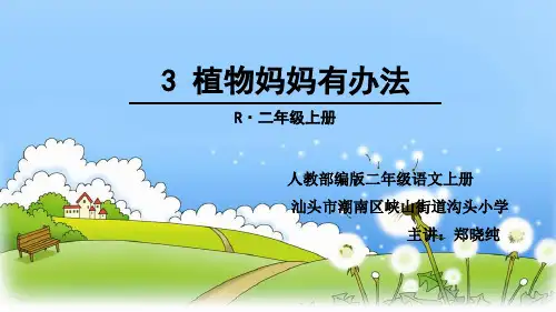 《3植物妈妈有办法》人教部编版 (共49张PPT)[优秀课件]