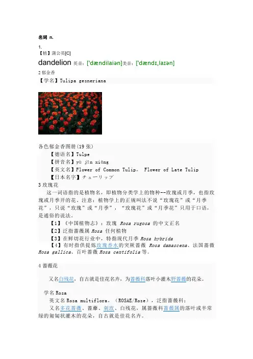 盘点各种花的英文名字