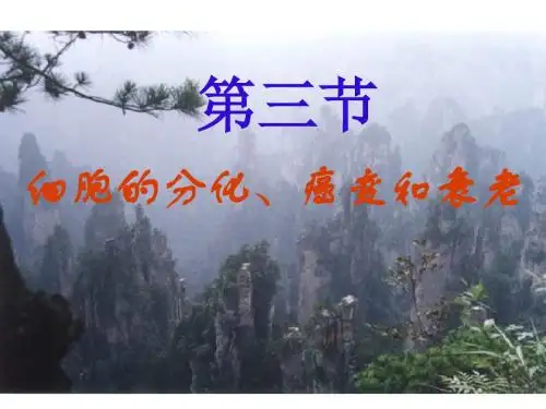 高中生物细胞的分化、癌变和衰老PPT2 人教课标版