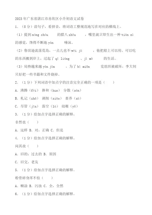 广东省湛江市赤坎区2023年小升初语文试卷(含答案)