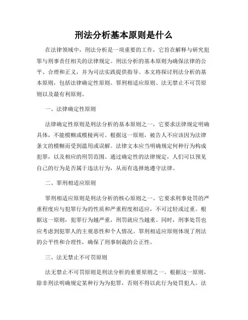 刑法分析基本原则是什么