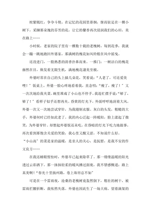 中小学作文美在路上作文800字记叙文