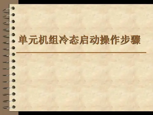单元机组冷态启动操作步骤
