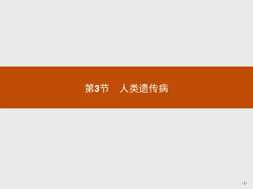 人教版高中生物学必修2精品课件 第5章 第3节 人类遗传病