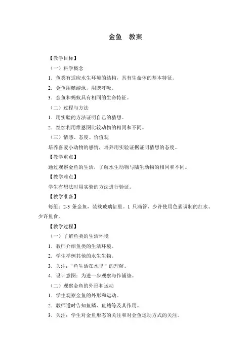 小学科学 《金鱼》参考教案
