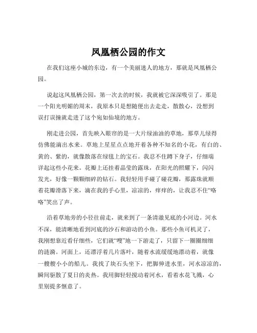 凤凰栖公园的作文
