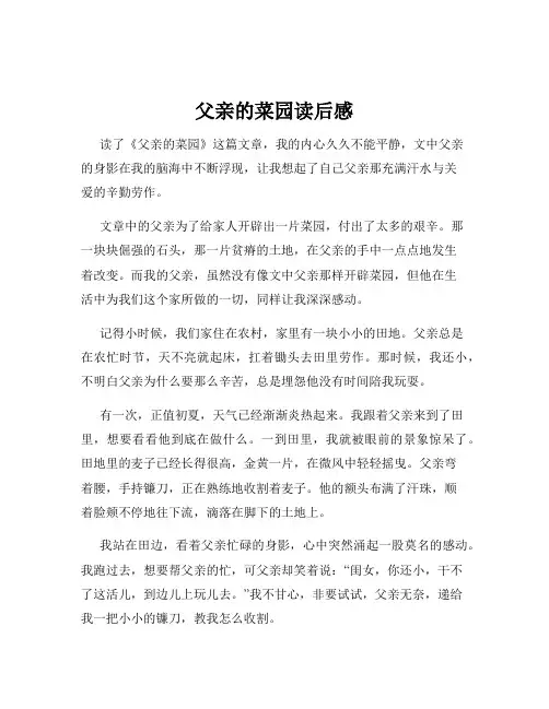 父亲的菜园读后感