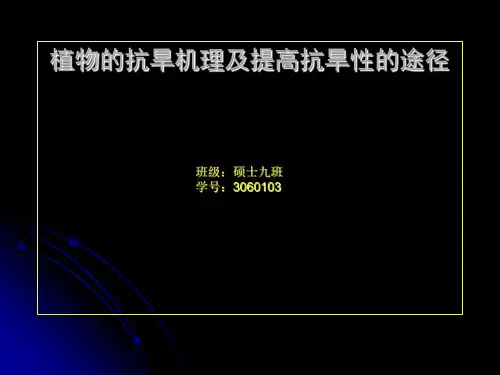 植物的抗旱机理及提高抗旱性的途径