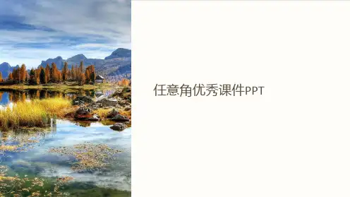 任意角优秀课件