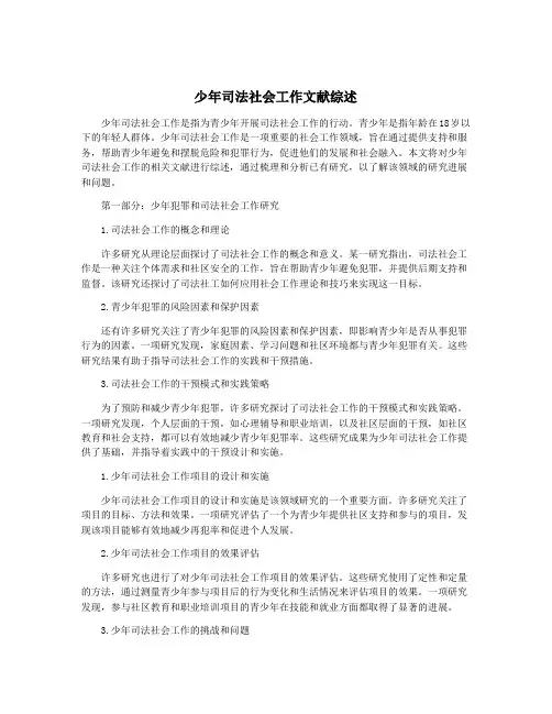 少年司法社会工作文献综述