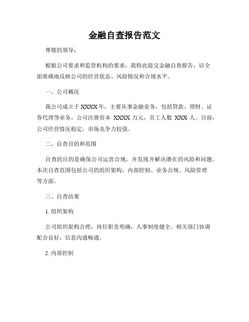 金融自查报告范文