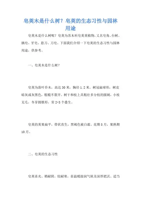 皂荚木是什么树？皂荚的生态习性与园林用途