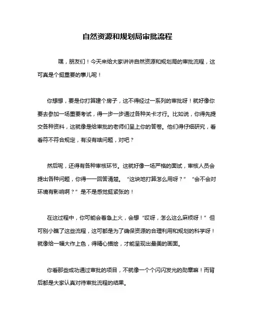 自然资源和规划局审批流程