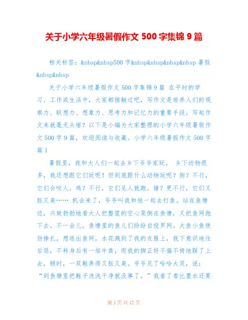 关于小学六年级暑假作文500字集锦9篇
