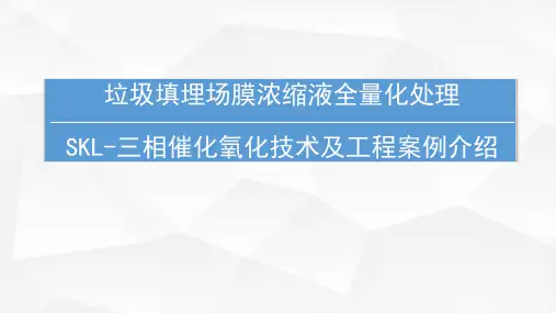 填埋场渗滤液的浓缩液处理方案