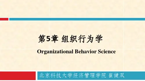 第5章组织行为学原理