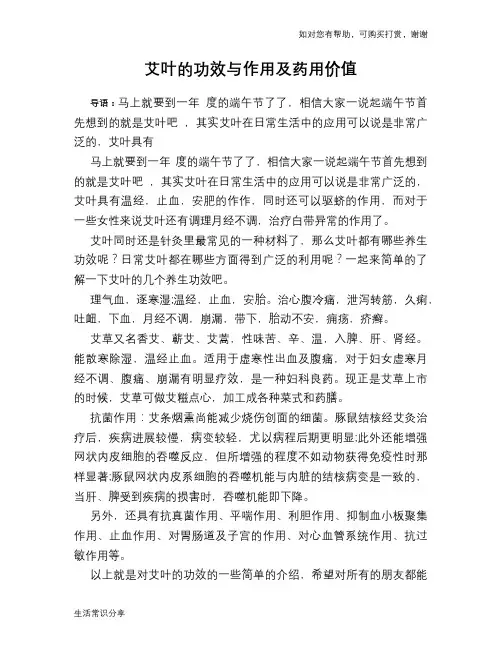 艾叶的功效与作用及药用价值