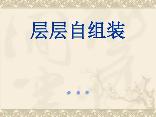 层层自组装