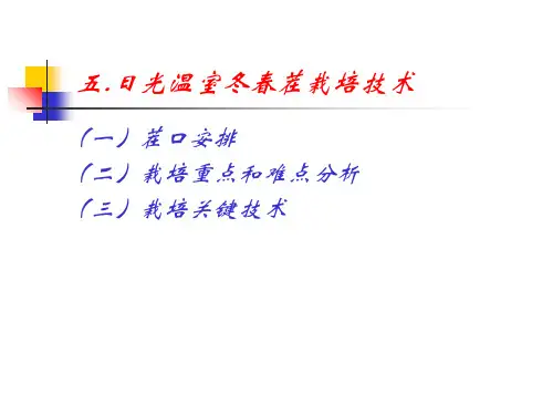 设施黄瓜栽培PPT课件资料