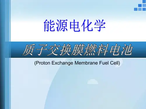 质子交换膜燃料电池ppt下载