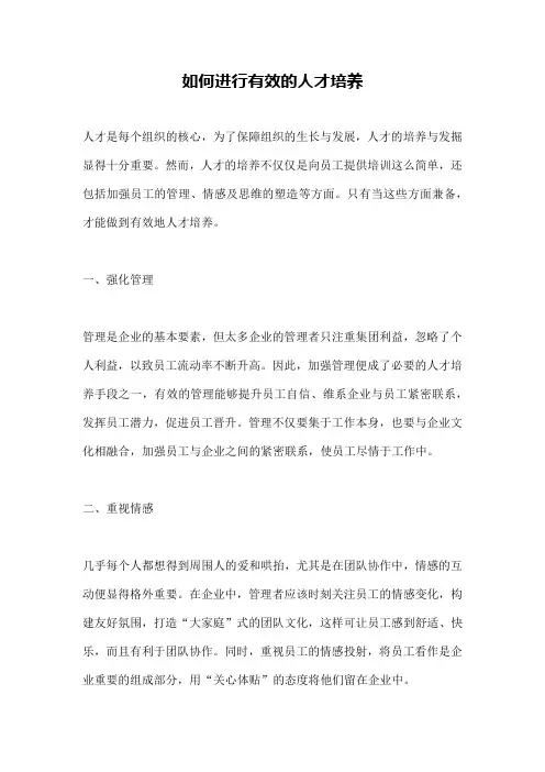 如何进行有效的人才培养