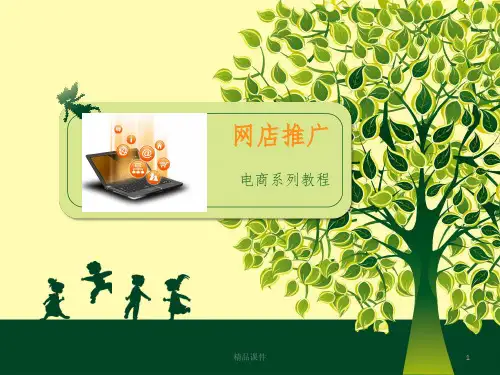 第一章 打造单品爆款ppt课件