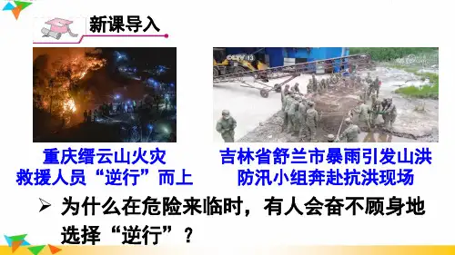 七年级道德与法治上册教学课件《敬畏生命》