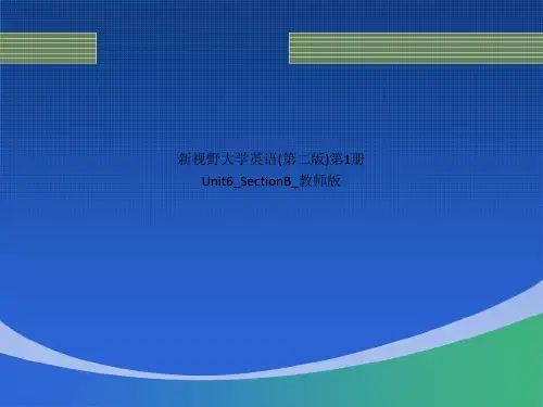 新视野大学英语(第二版)第1册Unit6_SectionB_教师版