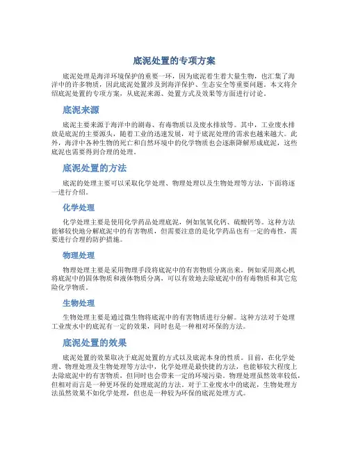 底泥处置的专项方案