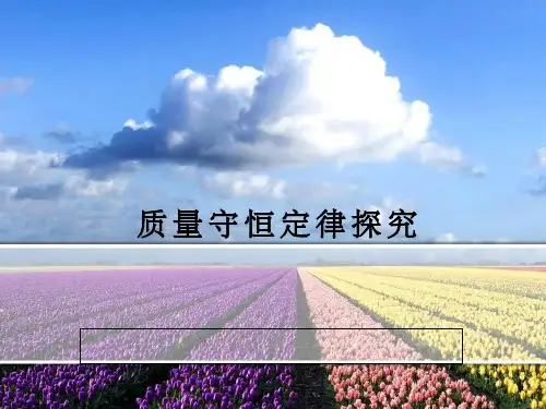 《质量守恒定律探究》PPT课件