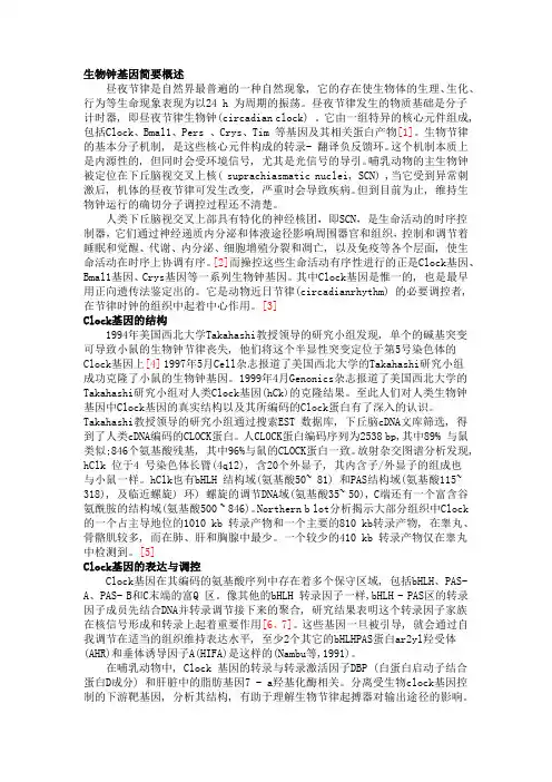 CLOCK基因简介