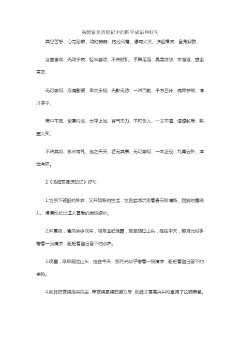 汤姆索亚历险记中的四字成语和好句