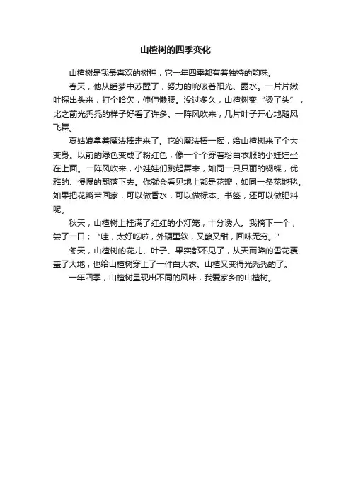 山楂树的四季变化