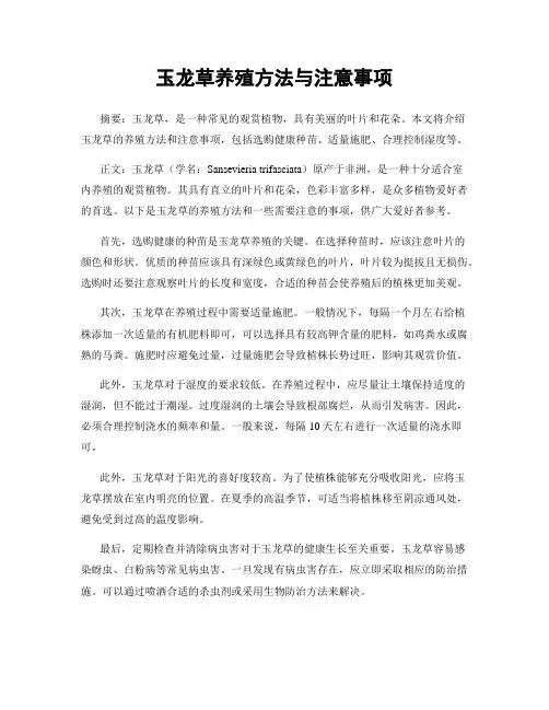 玉龙草养殖方法与注意事项