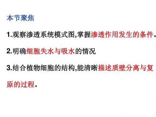 物质跨膜运输习题