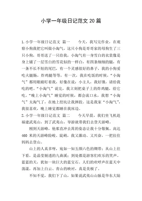 小学一年级日记范文20篇