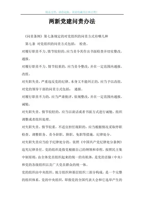 两新党建问责办法