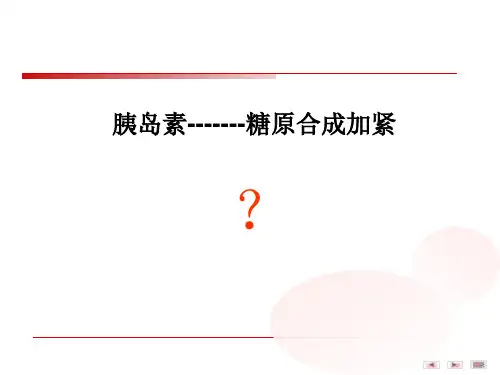 细胞信号转导公开课一等奖课件省赛课获奖课件