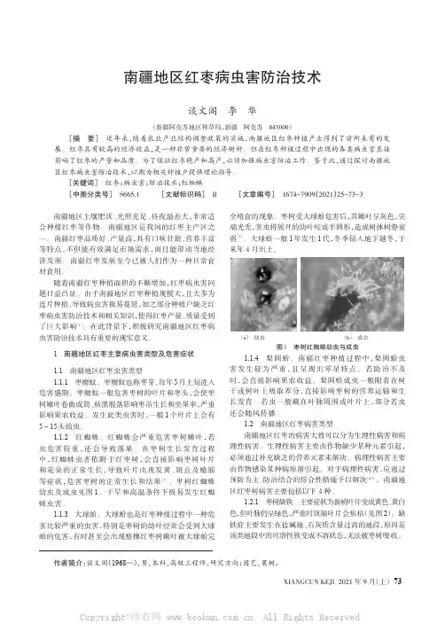 南疆地区红枣病虫害防治技术