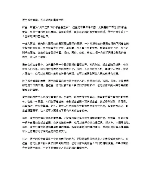 荷兰郁金香田：五彩斑斓