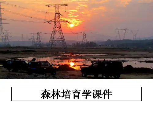 最新森林培育学课件幻灯片
