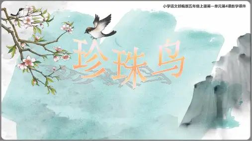 《珍珠鸟》课件((共24张PPT)