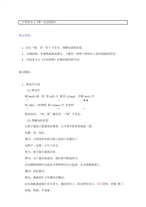语文三年级上册知识讲义(附同步练习)9《那一定会很好》-部编版