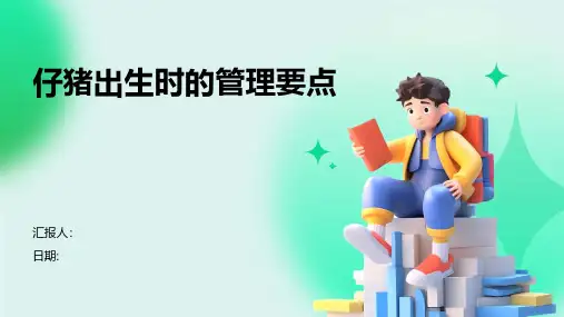 仔猪出生时的管理要点