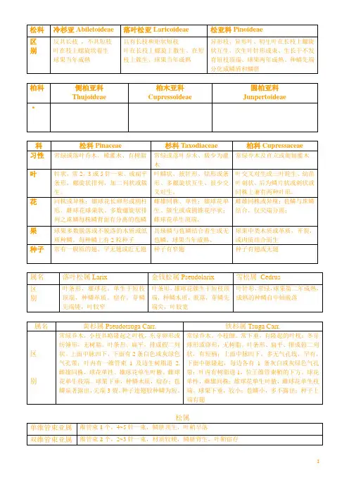 树木学的科、属、种的区别分类