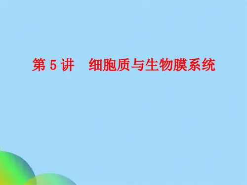 生物高考复习第讲细胞质(共95张PPT)